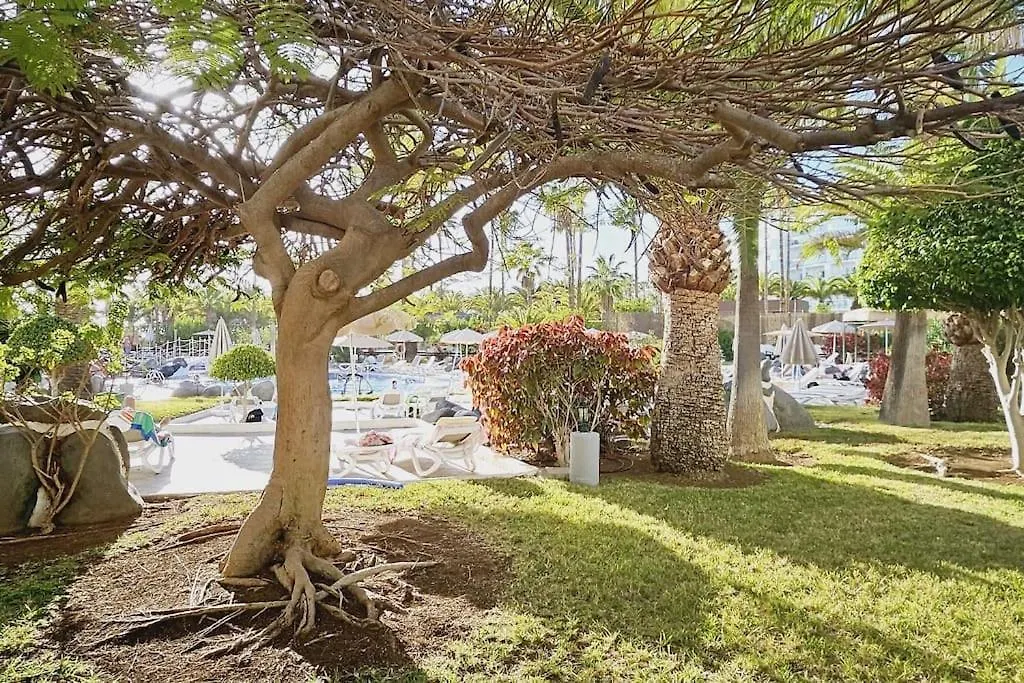 Altamira Paradise Costa Adeje  Apartment